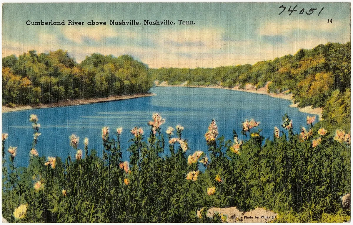 A coloured postcard of the Cumberland River above Nashville, wildflowers in the foreground