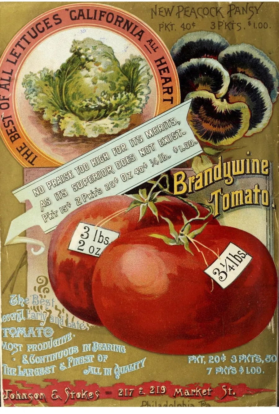 A Brandywine tomato on an 1890 seed catalogue cover