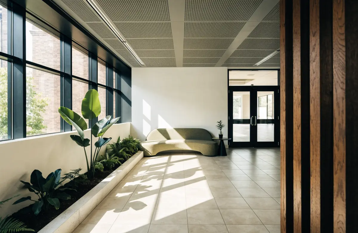 A bright office lobby with plants and a bench