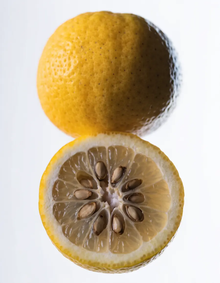 Yuzu juice powder